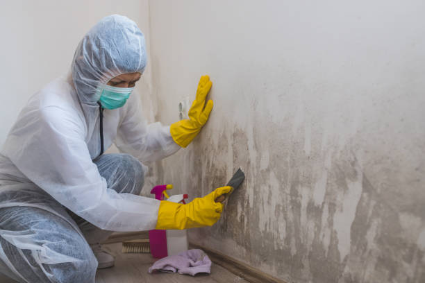 Best Mold Testing  in Richmond, IN
