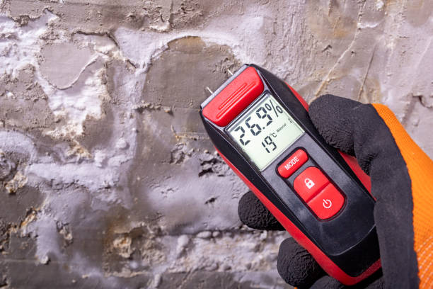 Best Toxic Mold Removal  in Richmond, IN