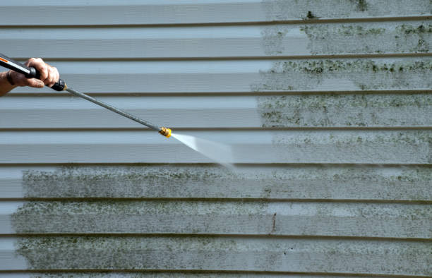 Best Mold Removal Process  in Richmond, IN